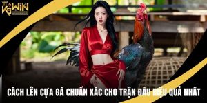 Cách lên cựa gà