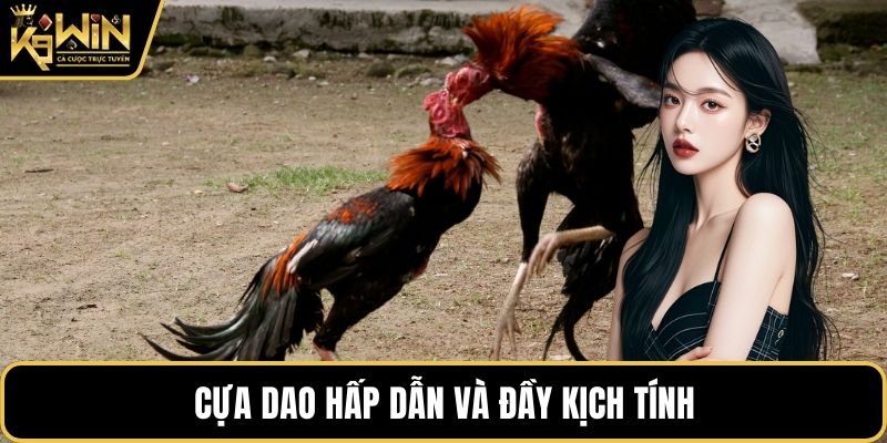 Cựa dao hấp dẫn và đầy kịch tính