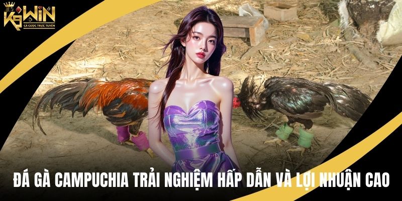 Đá gà Campuchia