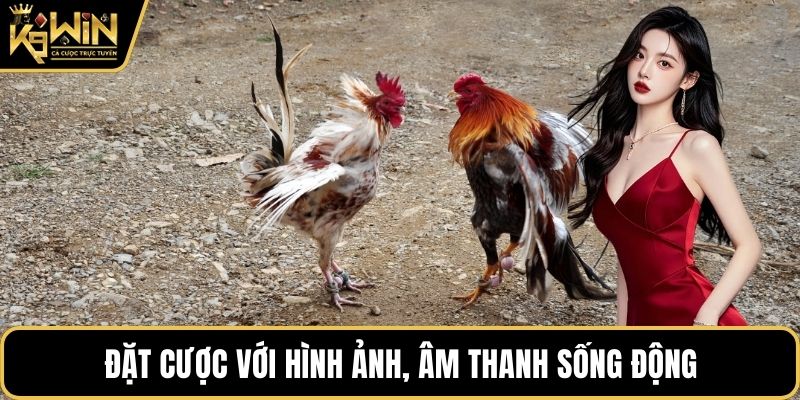 Đặt cược với hình ảnh, âm thanh sống động
