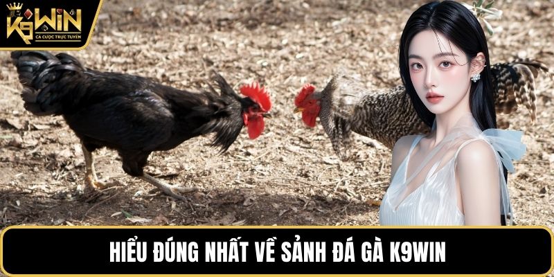 Hiểu đúng nhất về sảnh đá gà K9WIN