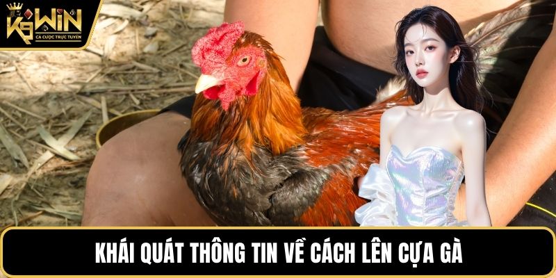 Khái quát thông tin về cách lên cựa gà