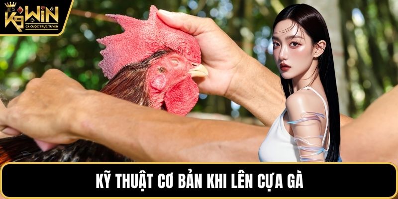 Kỹ thuật cơ bản khi lên cựa gà