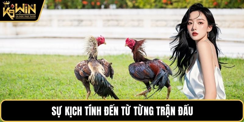 Sự kịch tính đến từ từng trận đấu