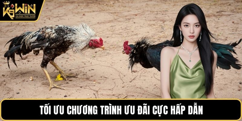 Tối ưu chương trình ưu đãi cực hấp dẫn