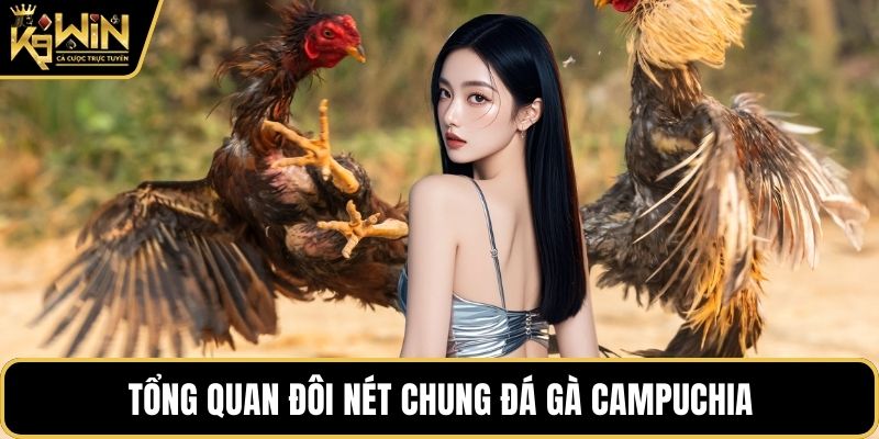 Tổng quan đôi nét chung đá gà Campuchia